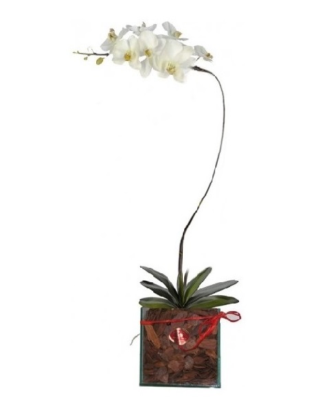 Comprar Arranjo de Flores D3