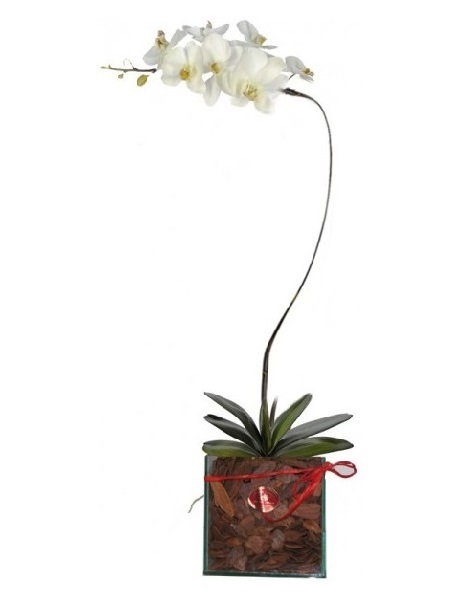 Comprar Arranjo de Flores D3