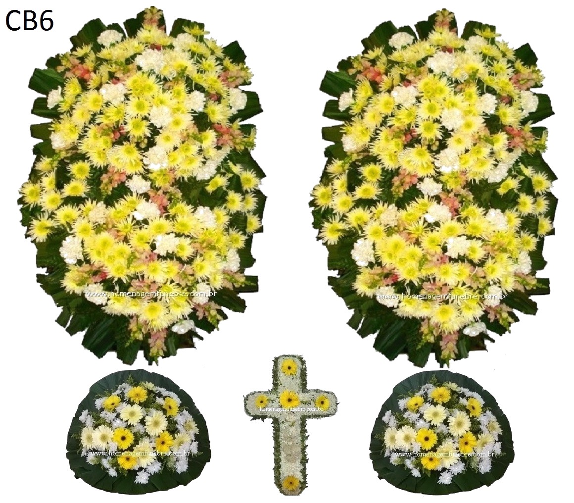 Conjunto Cód CB6
