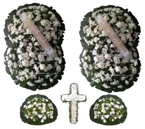Conjunto Cód B8
