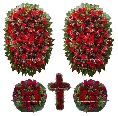 Conjunto Cód B12
