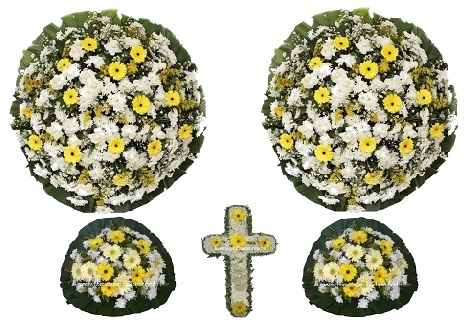 Conjunto Cód A3