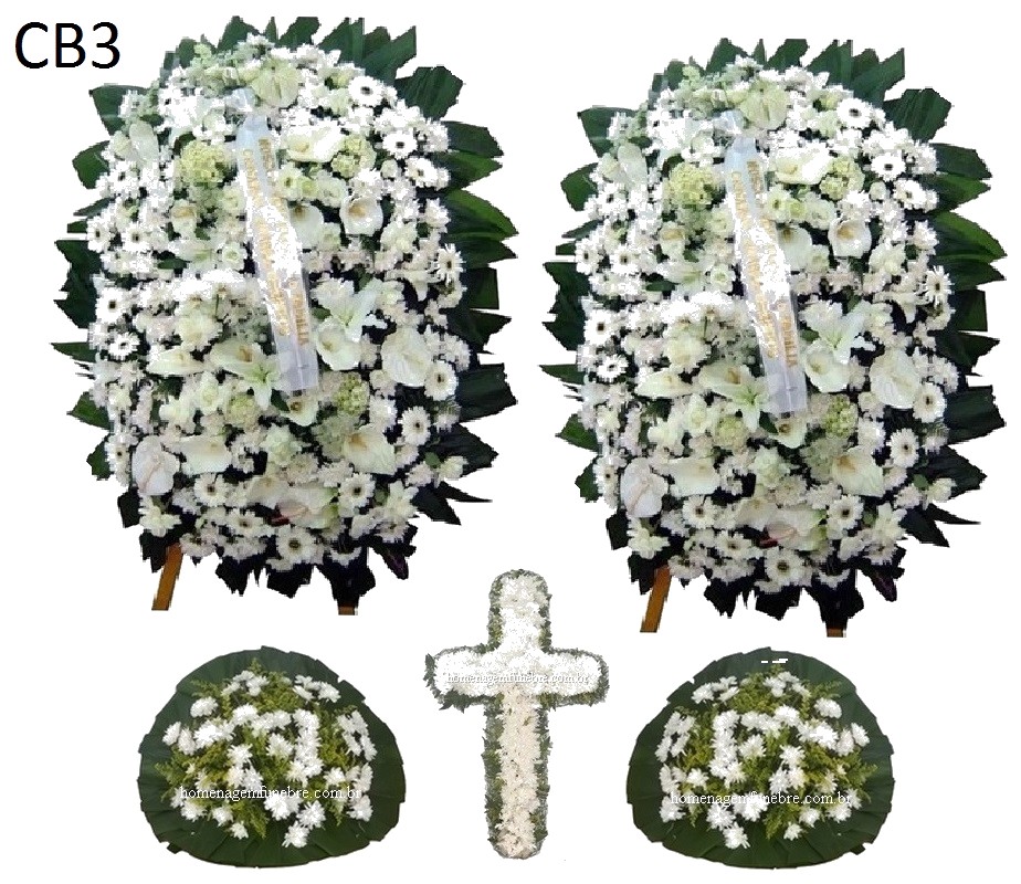 Conjunto Cód CB3