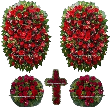 Conjunto Cód B12