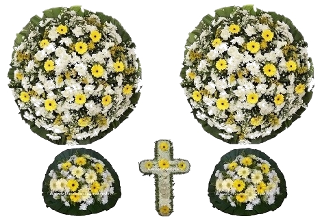 Conjunto Cód A3