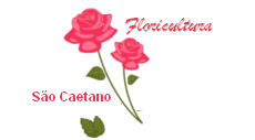 Floricultura Cemitério São Pedro