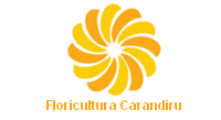 Floricultura Carandiru